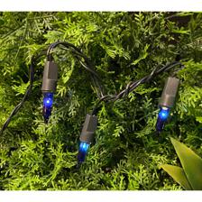 100 LUCES 110V (AZUL) - 034-39484/1