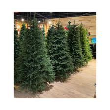 XMAS TREE 6 FT 748 TIPS PE & PVC MIXED - 110-1400216