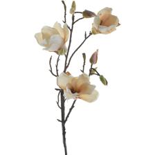 MAGNOLIA DECOR - 140-1300113