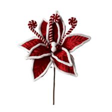 POINSETTIA PICK - 140-4101425