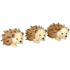 SET OF 3 HEDGEHOG IN PVC BOX - 201-3500299