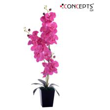 FLORES ORQUIDEAS ARTI - 592-141708