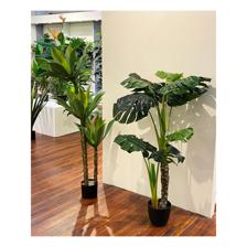 PLANTA DE DECORAÇÃO C/POT 135 - 592-142528