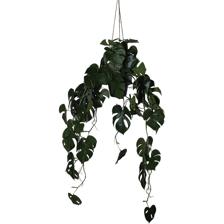 PLANTA PENDURADA 52X35X105CM - 592-143189