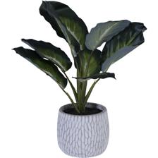 PLANTA C/POTE 30X30X36CM - 592-143203