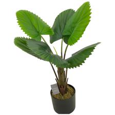 65cm Real touch circular fan palm x 6 lvsin pot - 592-143448