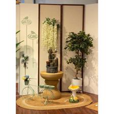 FICUS C/POTE - 592-312075