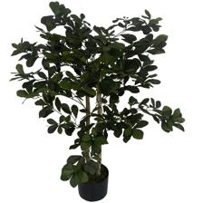 ARTIFICIAL SCHEFFLERA WITH PLASTIC  POT - 592-312183