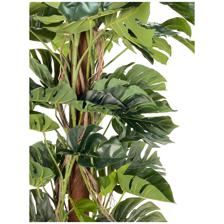 DECORAÇÃO MONSTERA 53X53X200 CM - 592-312254