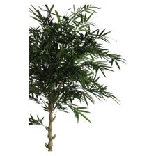 180cm Buhdda bamboo with pot - 592-312301