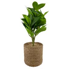 artificial plants with EVA pot - 592-360117