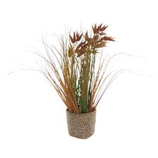 H:40CM GRASS IN POT - 592-370568