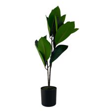 PLANTA C/POTE 10X10X59CM - 592-370696