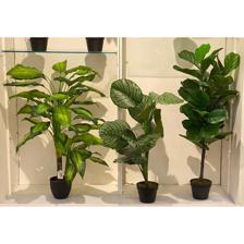 PLANTA C/POTE 120CM - 592-400034