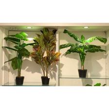 PLANTA C/POTE 90CM - 592-400035