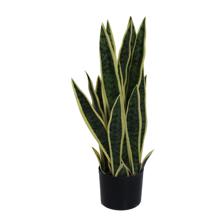 PLANTA C/POTE  H:60CM - 592-460002