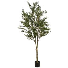 180cm olive leaves Tree in Pot - 592-460103