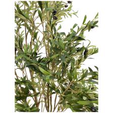 180cm olive leaves Tree in Pot - 592-460103