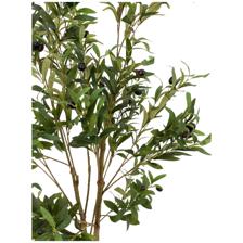 120cm olive leaves Tree in Pot - 592-460104