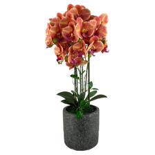 72CM DECORATIVE ORCHID WITH CEMENT POT28PCS FLOWERS - 592-470044