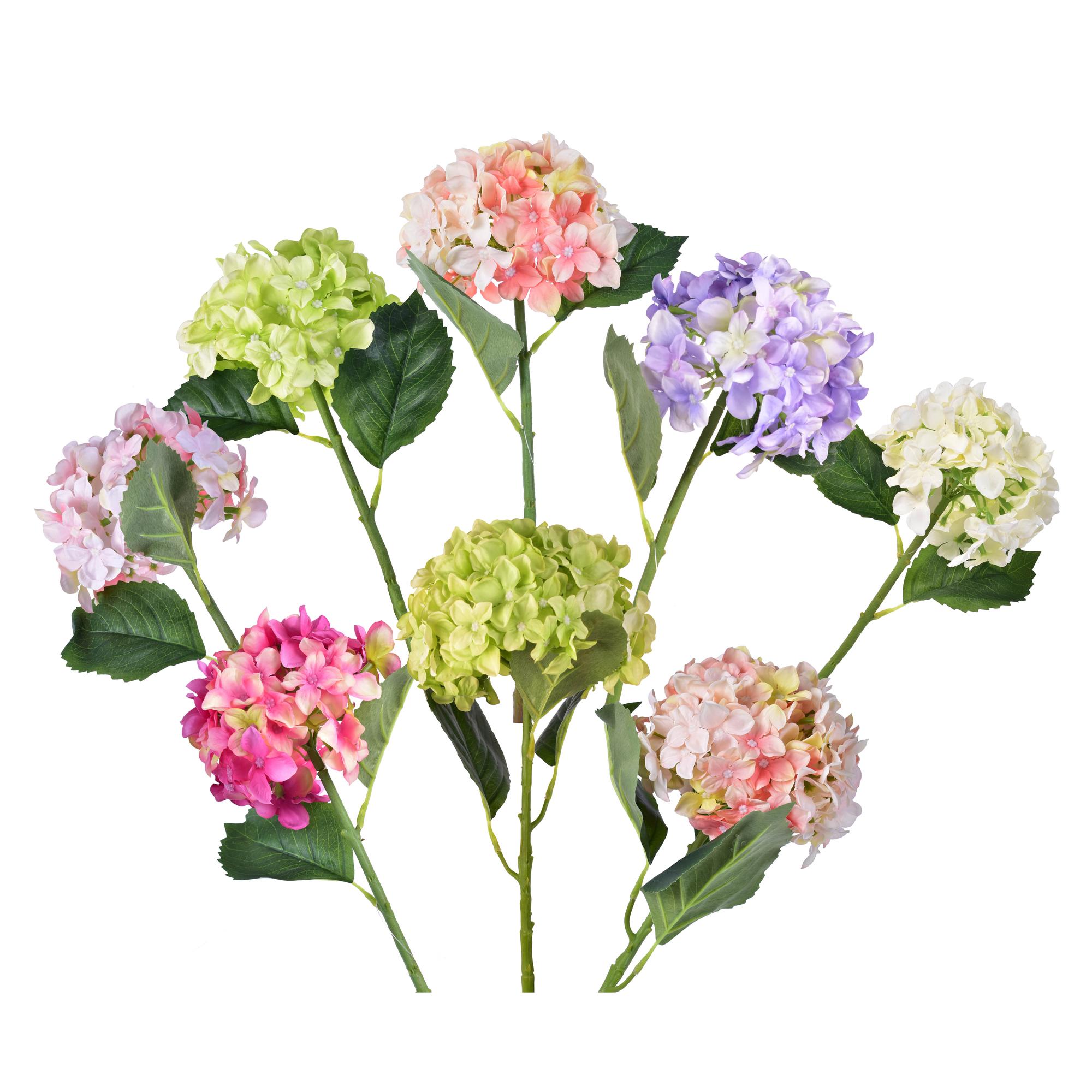 ARTE HORTENSIA - 420-592469