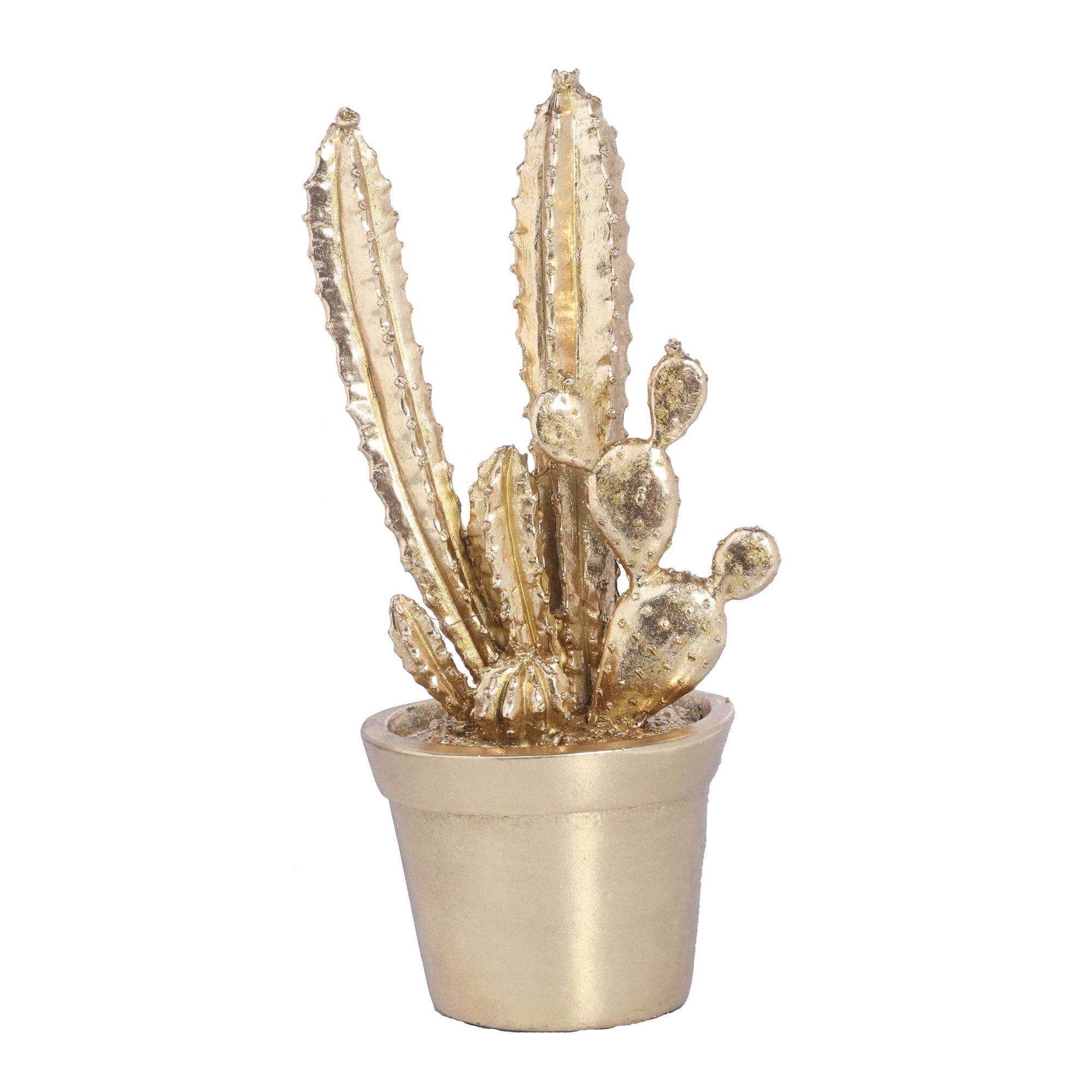 POLY CACTUS DÉCOR - 438-7012758