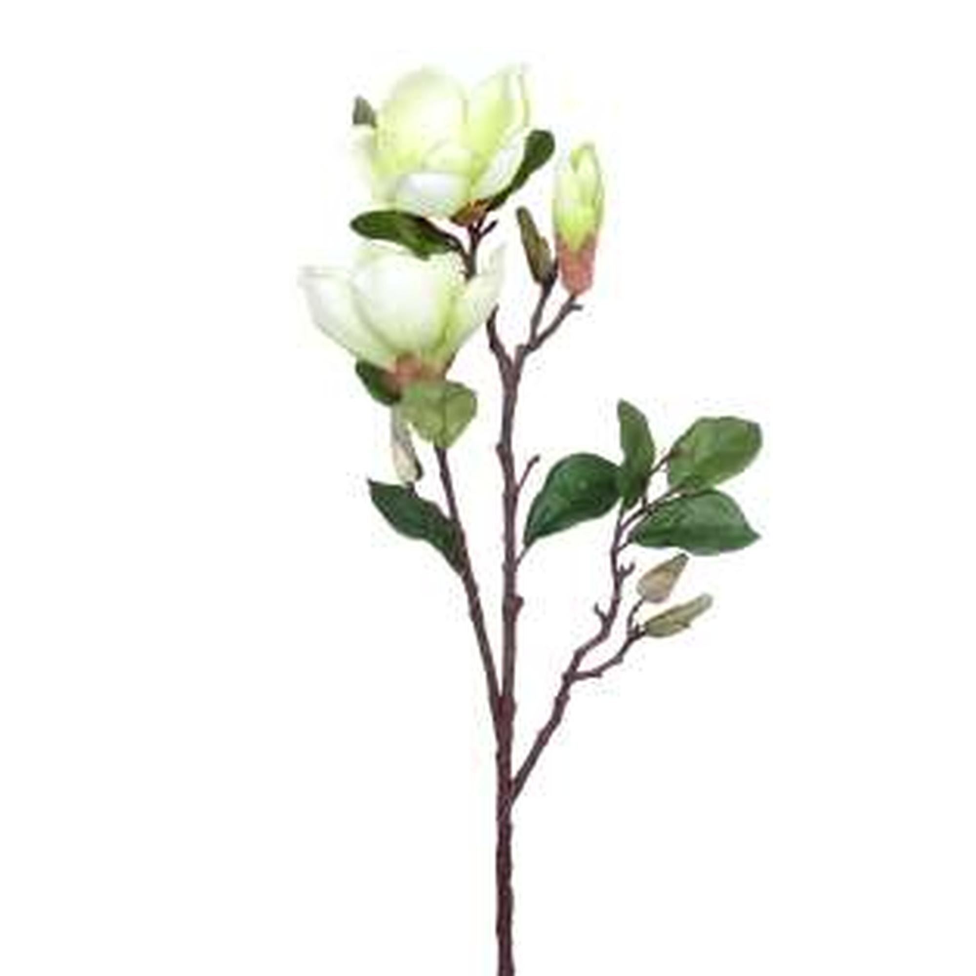 71CM MAGNOLIAX3+5BUDS - 456-512268