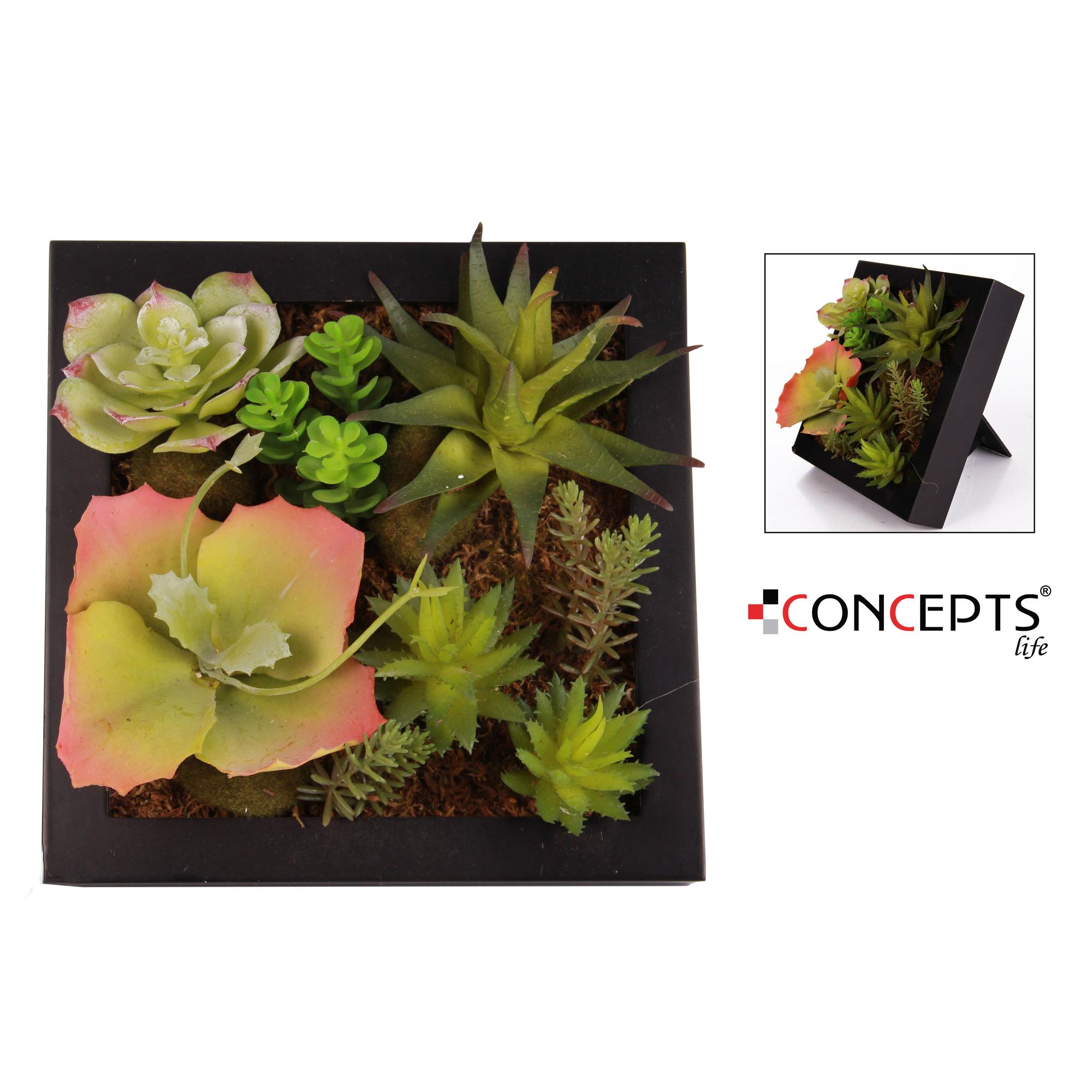 PLANTA ART. C/POTE 20x20x10CM - 456-521206