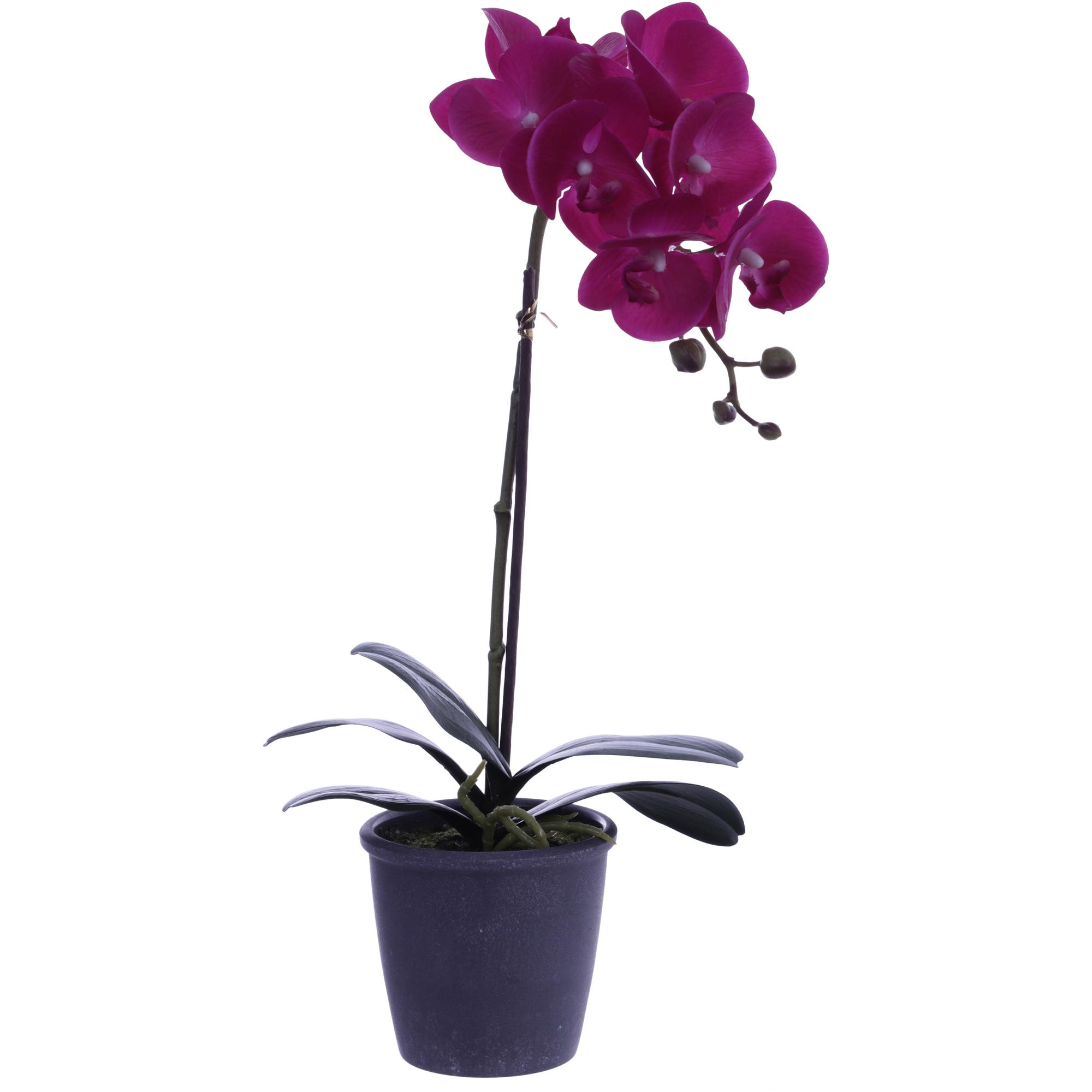 ARTIFICIAL ORCHID - Noritex