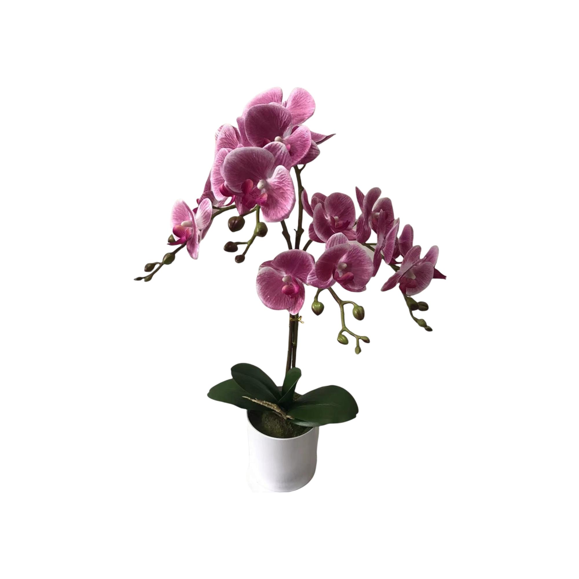 ORQUIDEA ARTIFICIAL 12.5X56CM - 456-55269