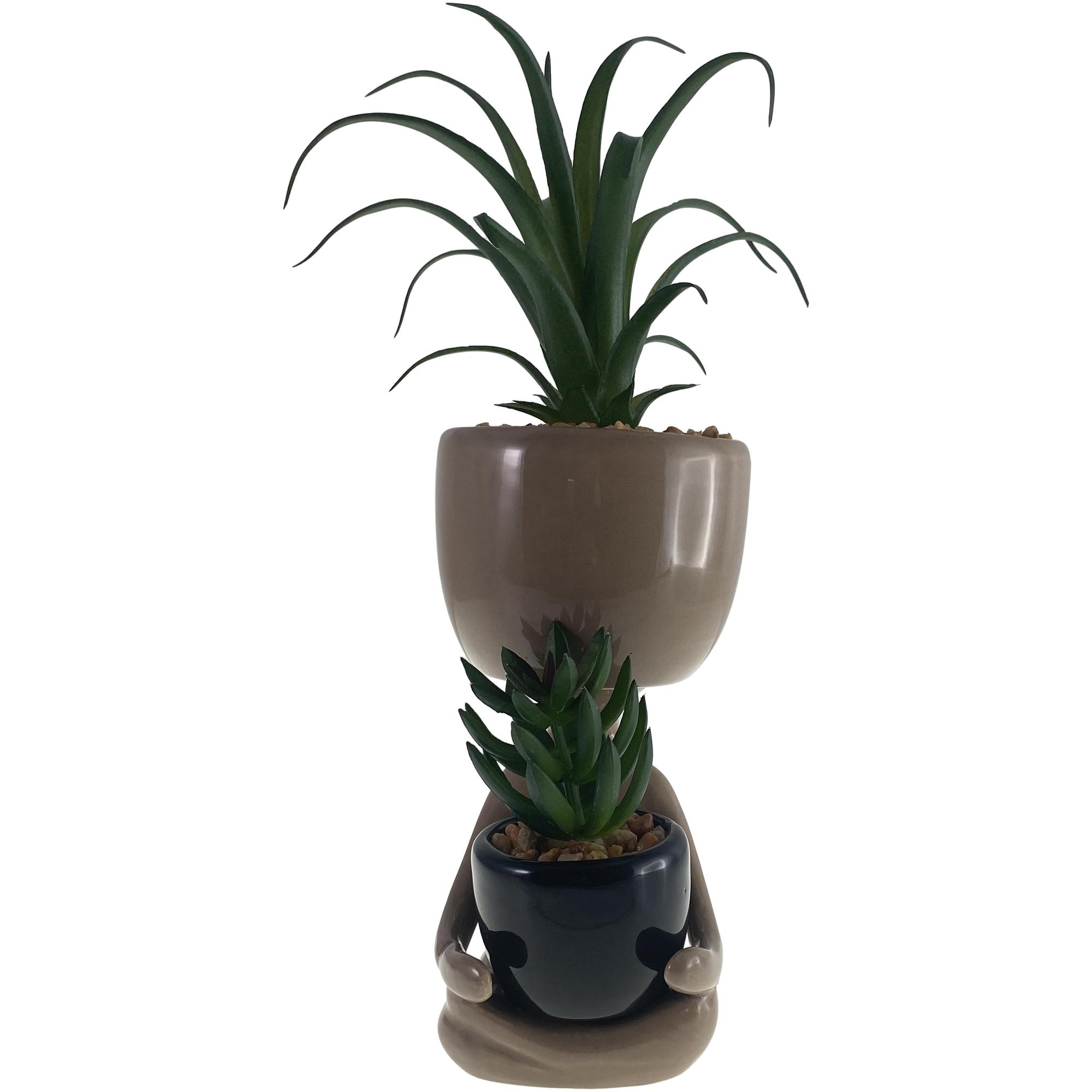 PLANTA 9X11X25CM - 567-49249