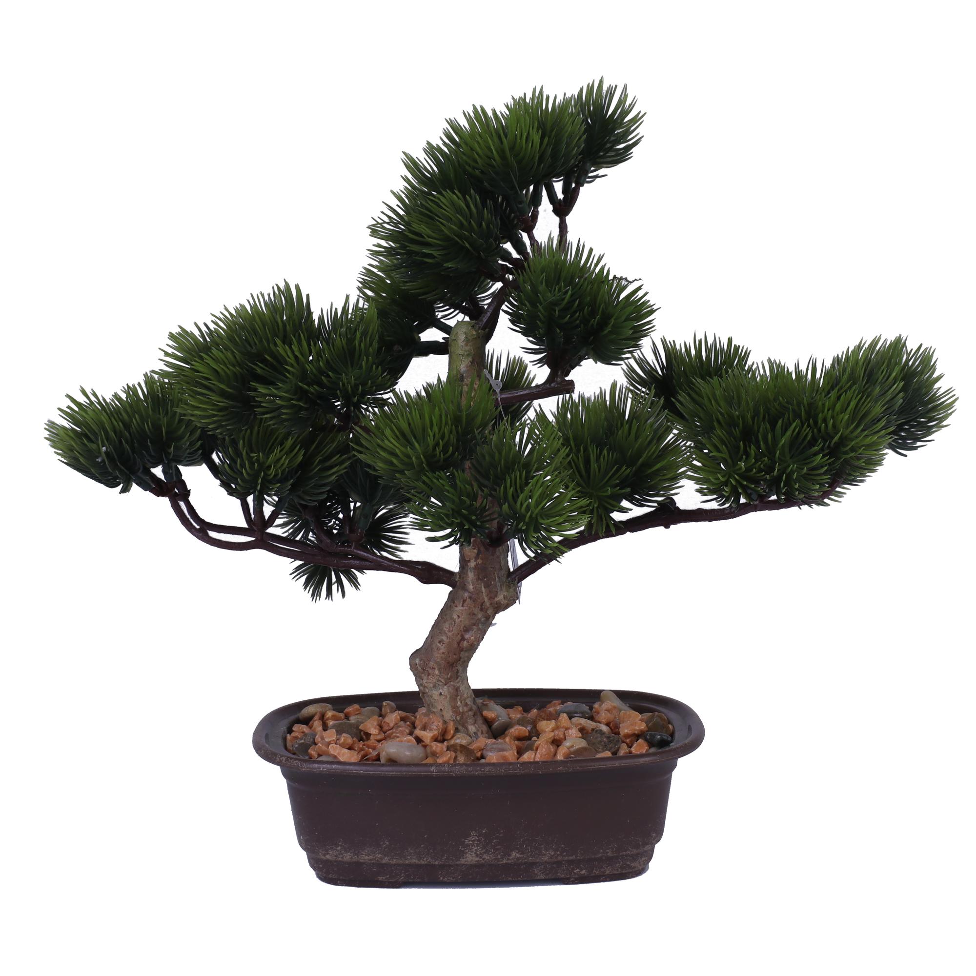 POTE BONSAI 30 CM - 592-143093