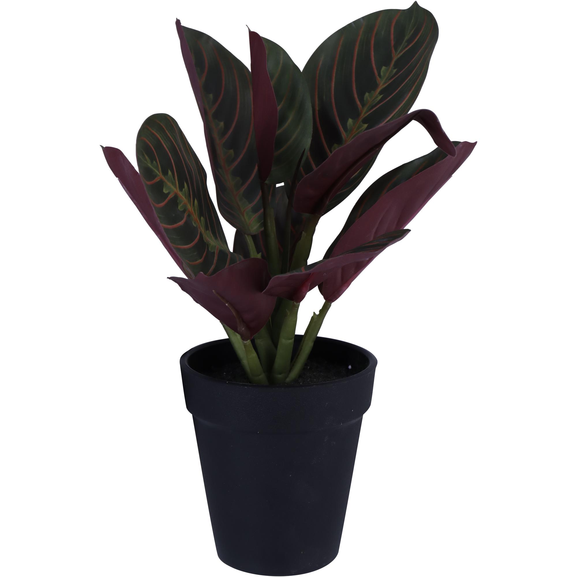 PLANTA C/VASO 20X25X26CM - 592-143197