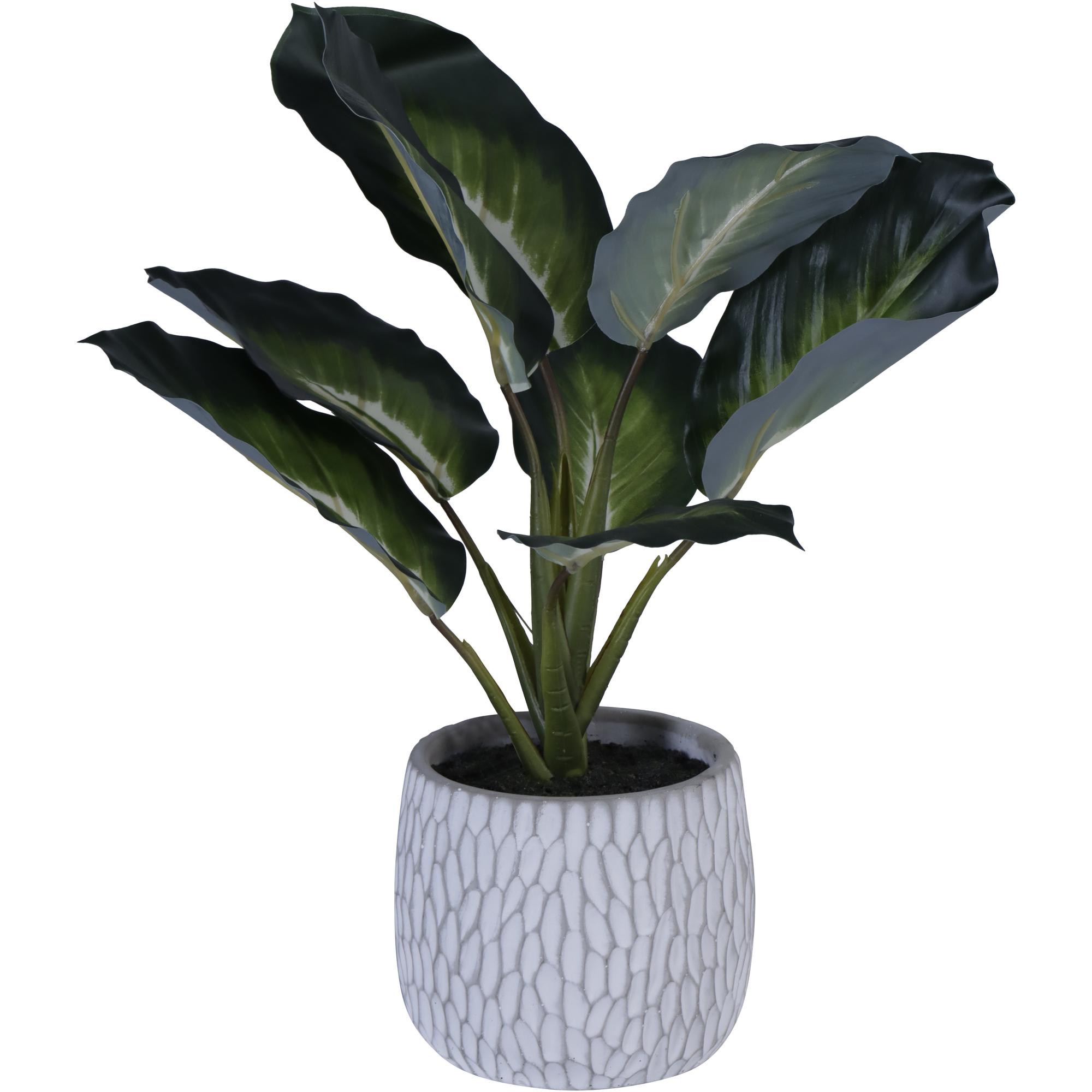 PLANTA C/POTE 30X30X36CM - 592-143203