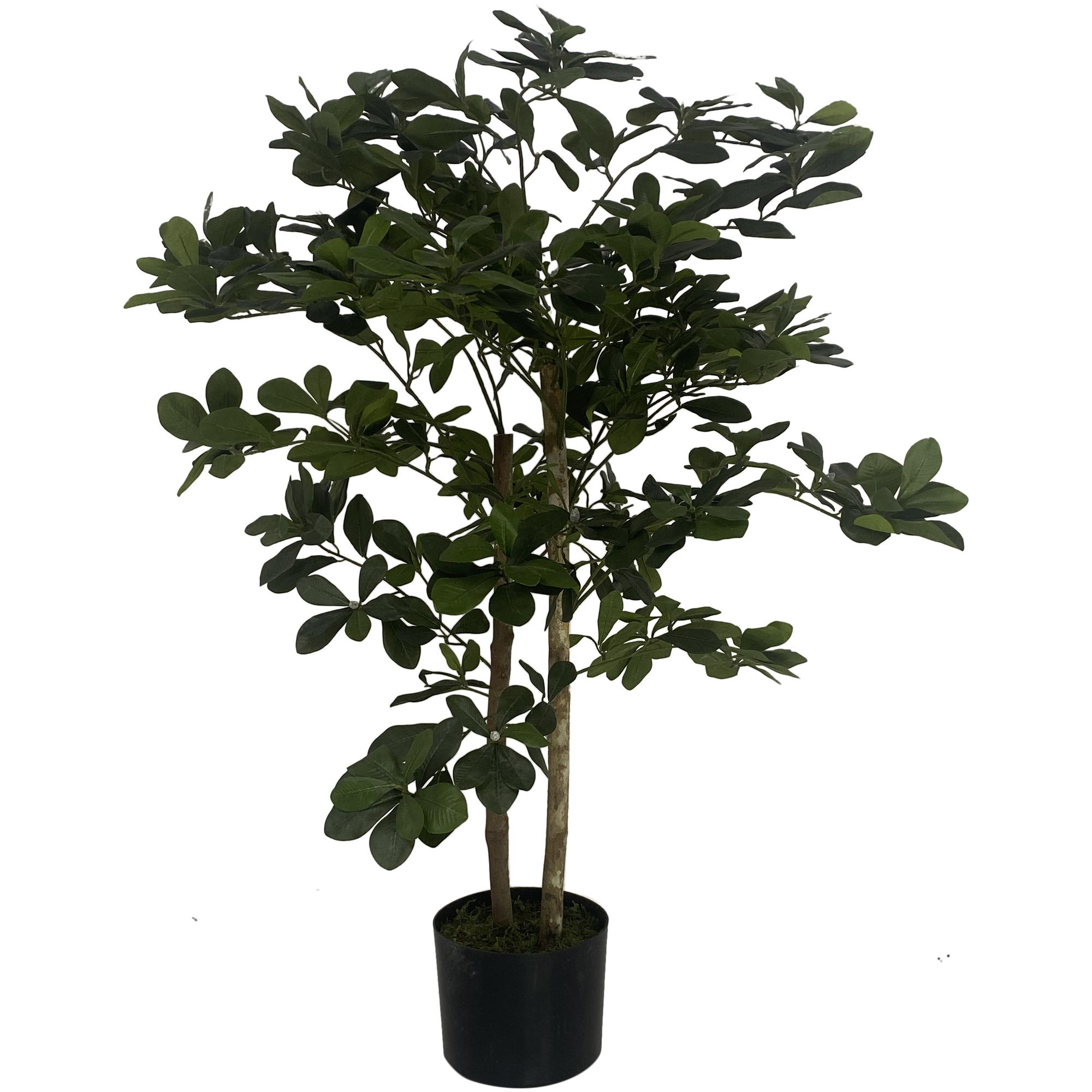 ARTIFICIAL SCHEFFLERA WITH PLASTIC  POT - 592-312183