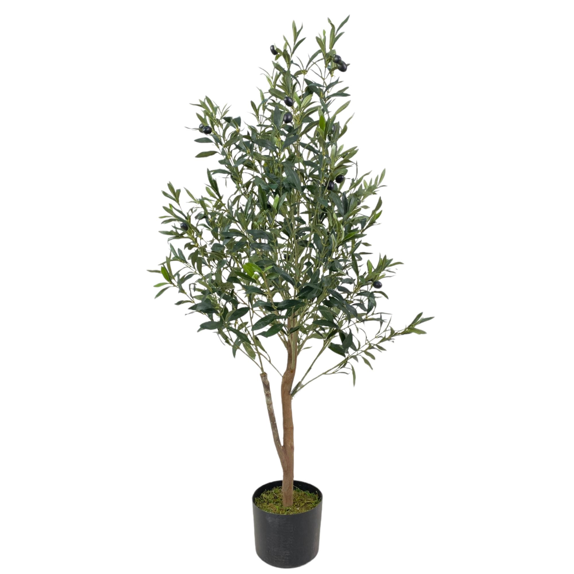 120cm Olive tree with plasticpot - 592-312206