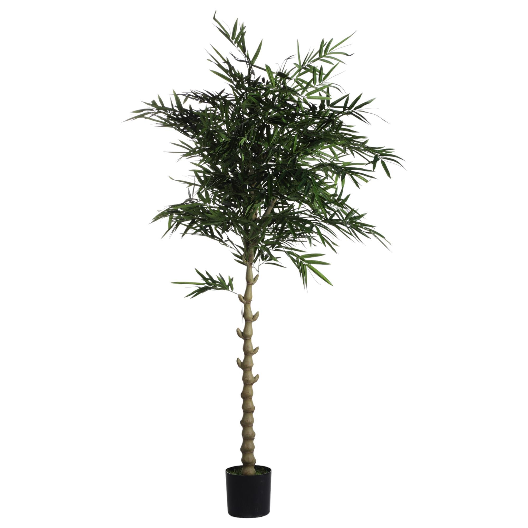 180cm Buhdda bamboo with pot - 592-312301