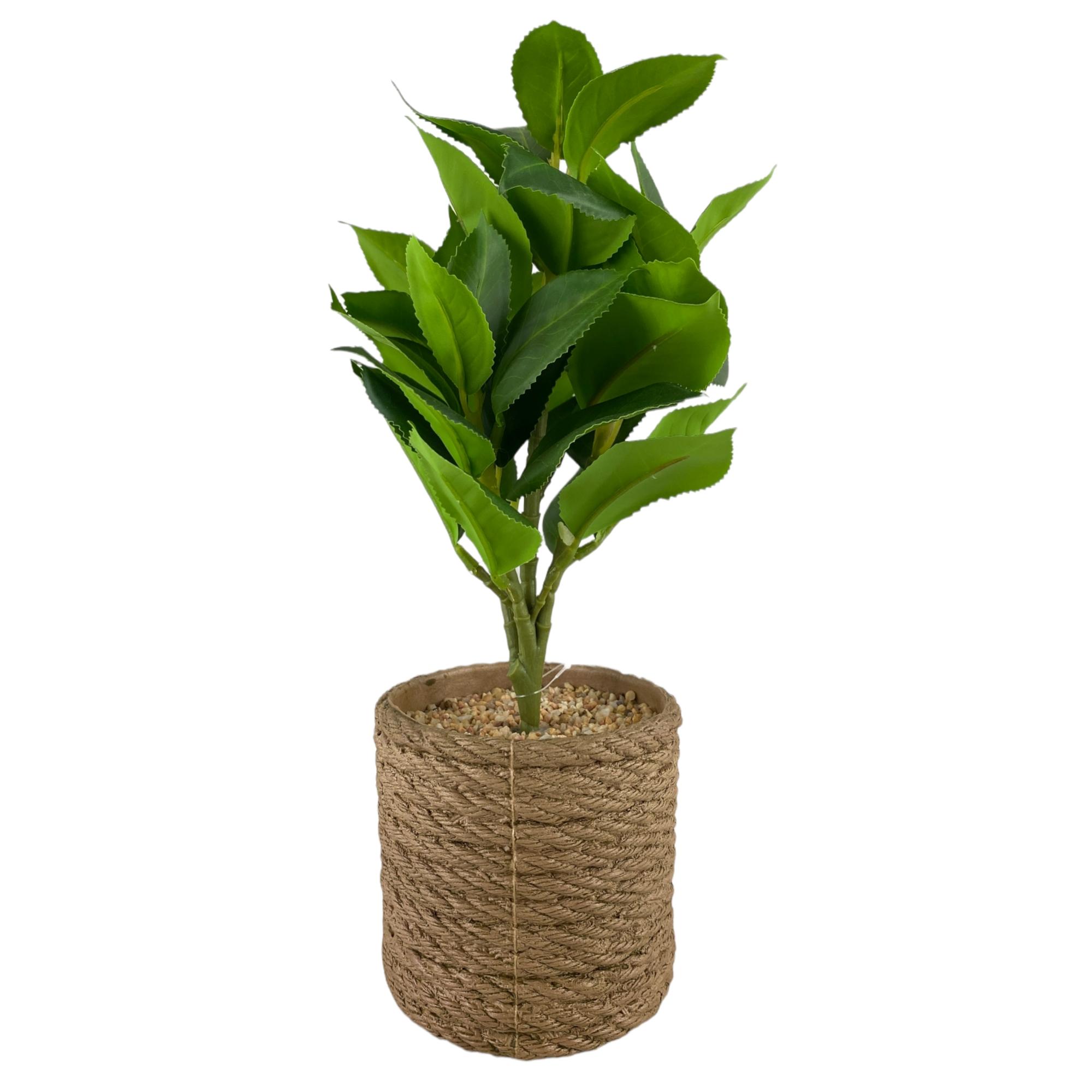 PLANTA C/VASO 20X18X31CM - 592-360117