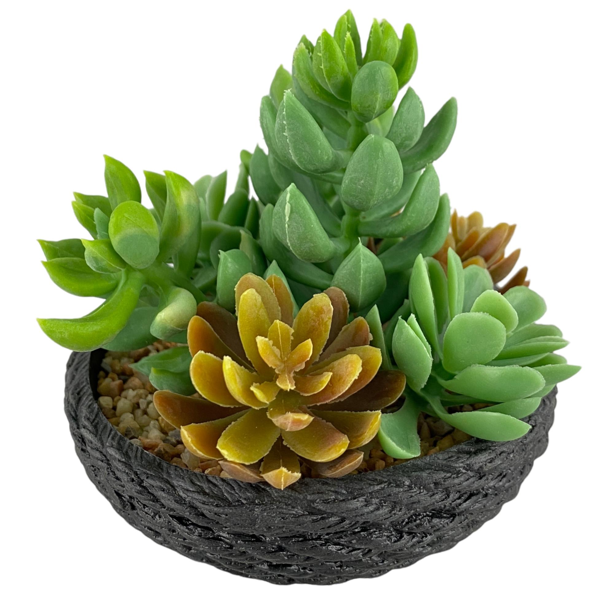 PLANTA C/POTE 10X10X10CM - 592-360141