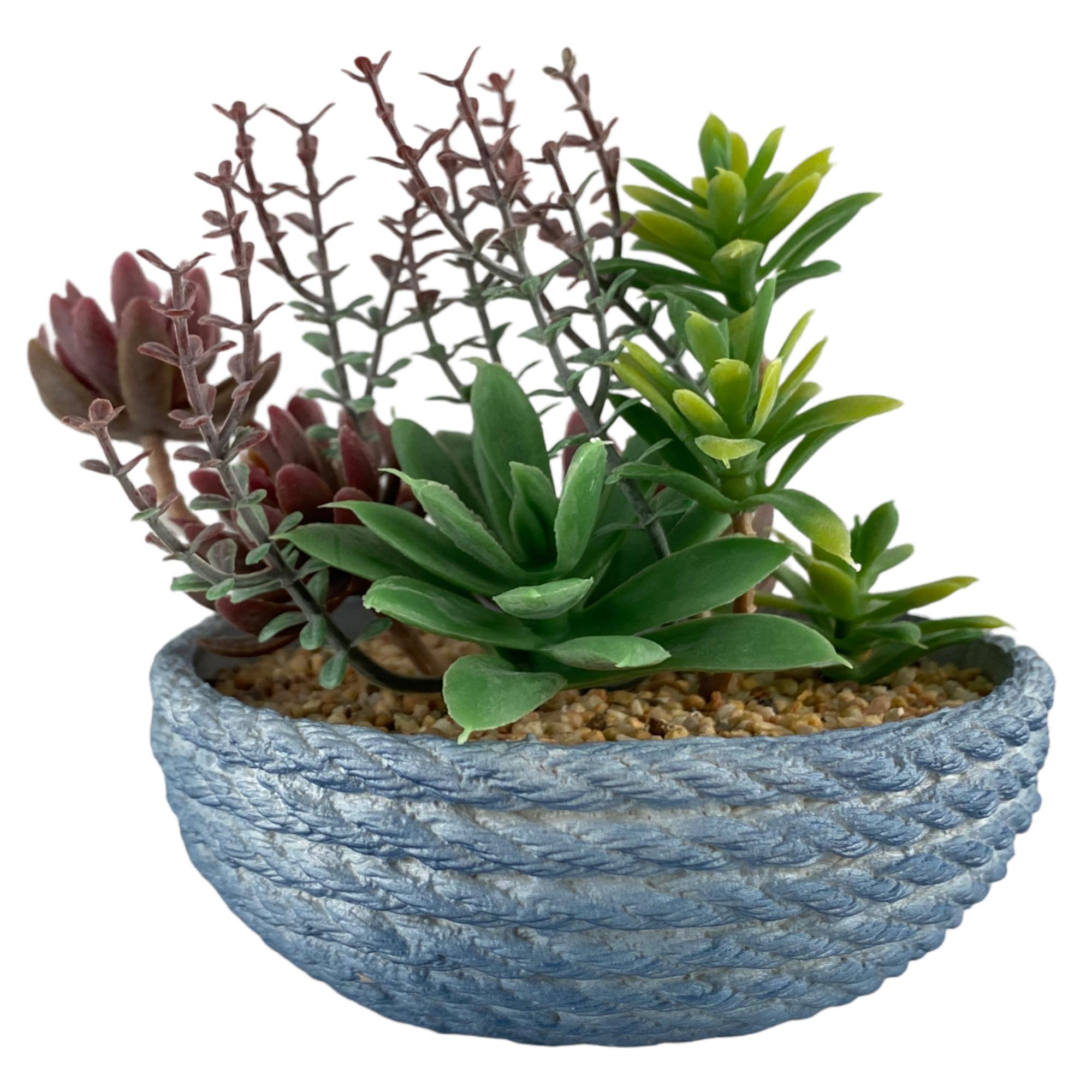 PLANTA C/POTE 13.5X13.5X13CM - 592-360142