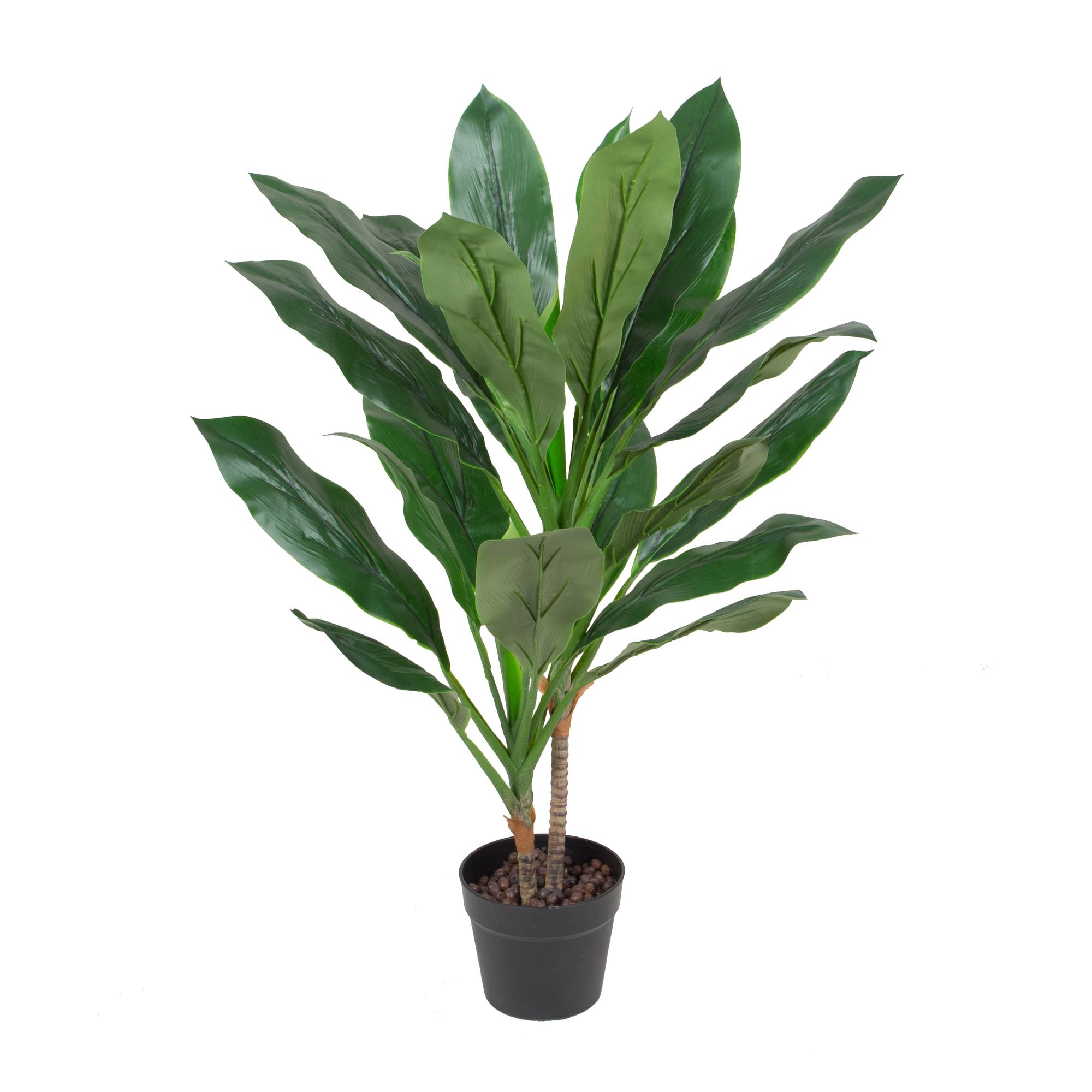 90cm Cordyline Fruticosa w/pot - 592-400057