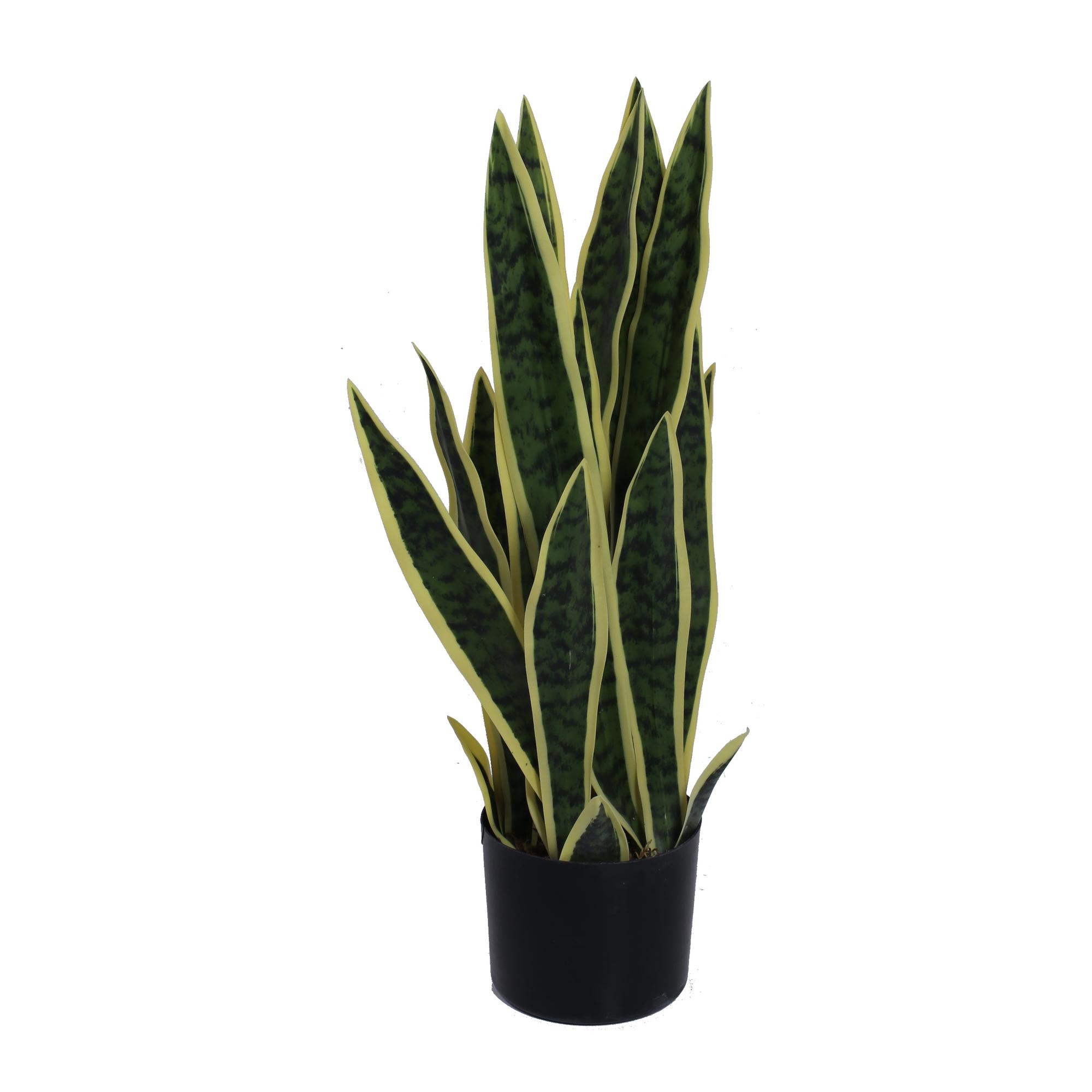 PLANTA C/POTE 60X36X60 CM - 592-460002