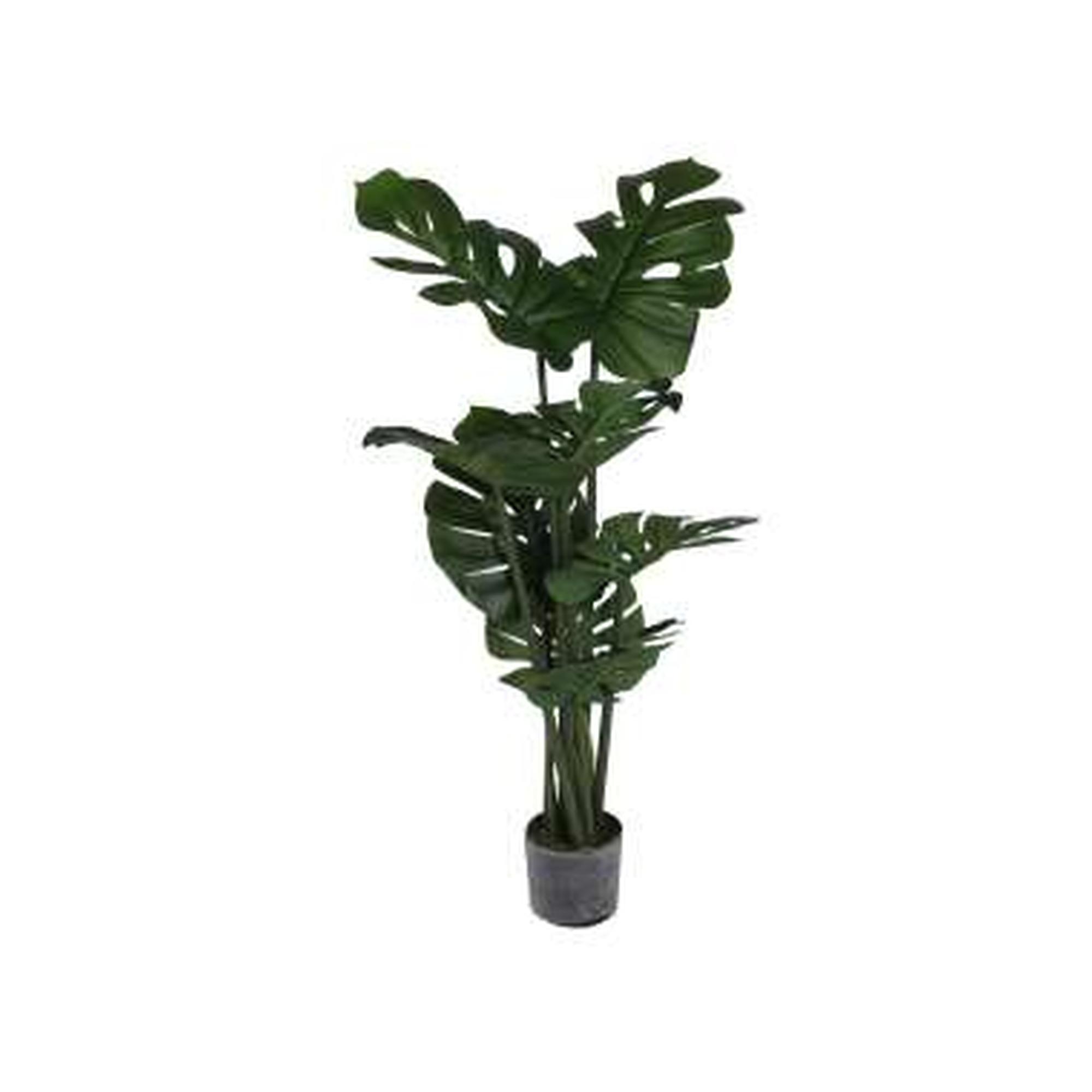 PLANTA C/POTE - 592-460008