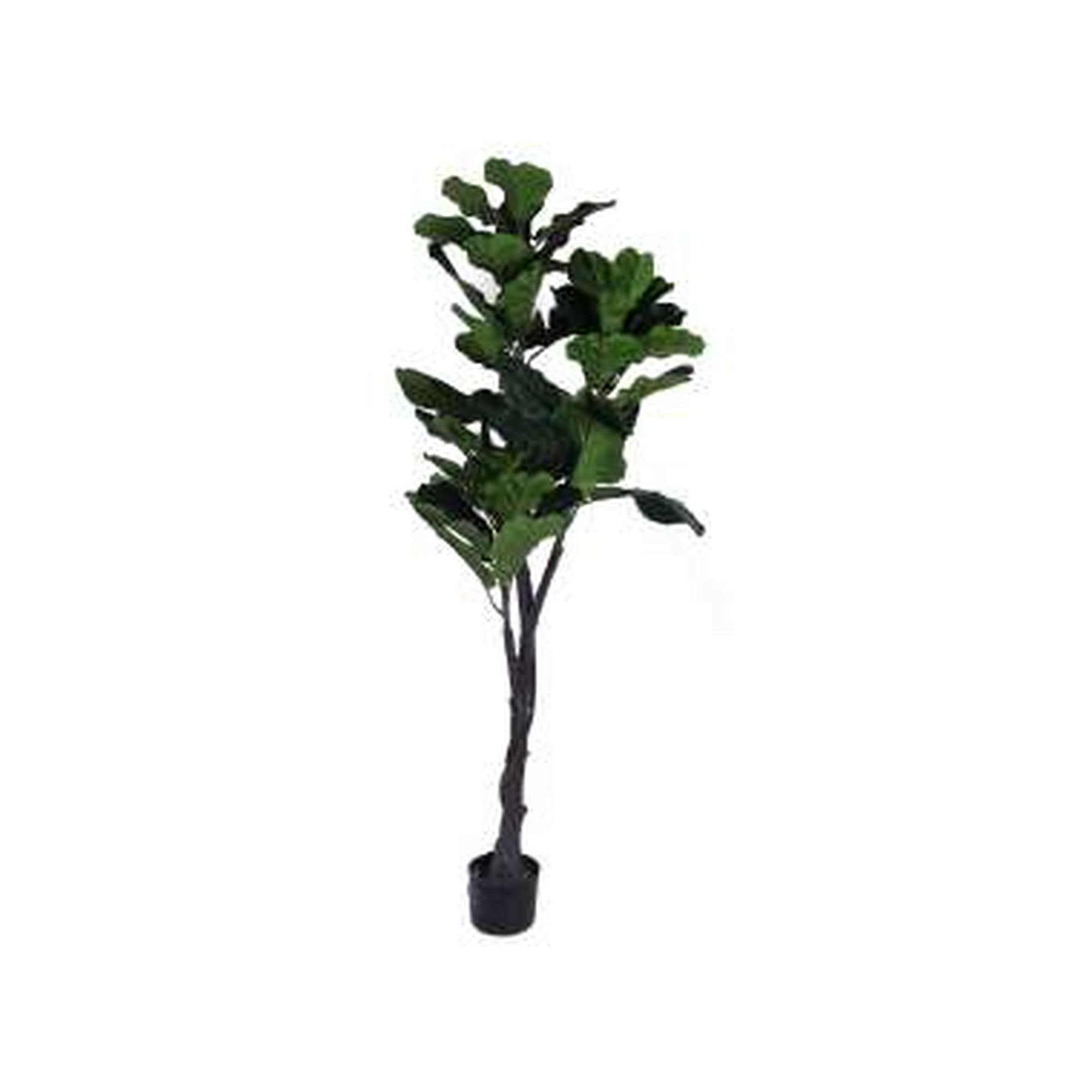 PLANTA C/POTE  H:150CM - 592-460015