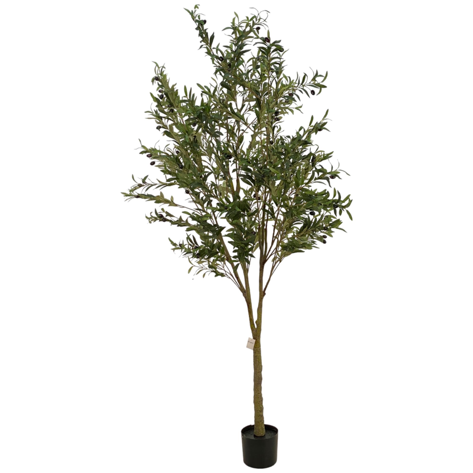 180cm olive leaves Tree in Pot - 592-460103